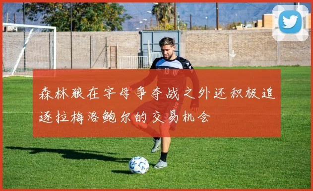 森林狼在字母争夺战之外还积极追逐拉梅洛鲍尔的交易机会