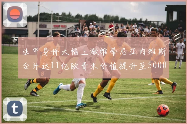 法甲身价大幅上涨维蒂尼亚内维斯合计达11亿欧青木价值提升至5000万